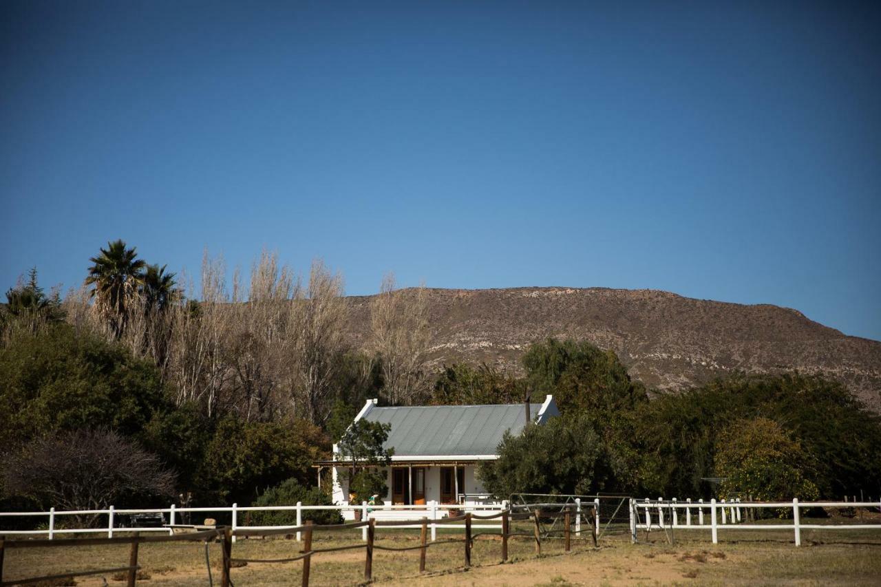 Acacia Cottage Prince Albert Exteriér fotografie